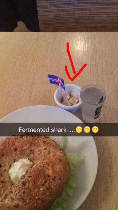 shark and bagel and brennevin