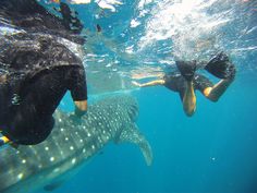 988c7aa6a6b7508f1ed699cbe3795a70