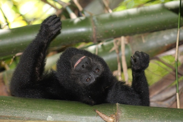 d8802aaea8647f0f971fa8e7b568ca2c